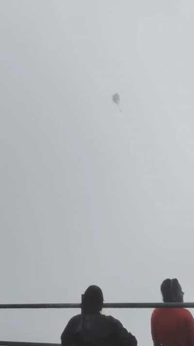 Tossing a tree branch in high winds