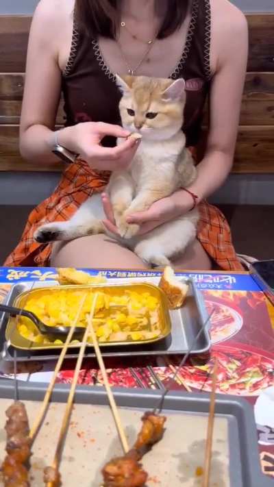 When someone tries to feed me pulao