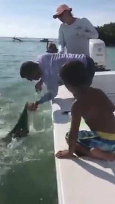 trying to show off by petting a shark
