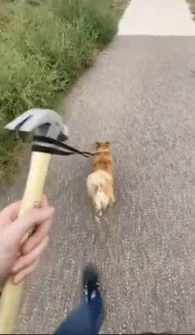 short film I made last year