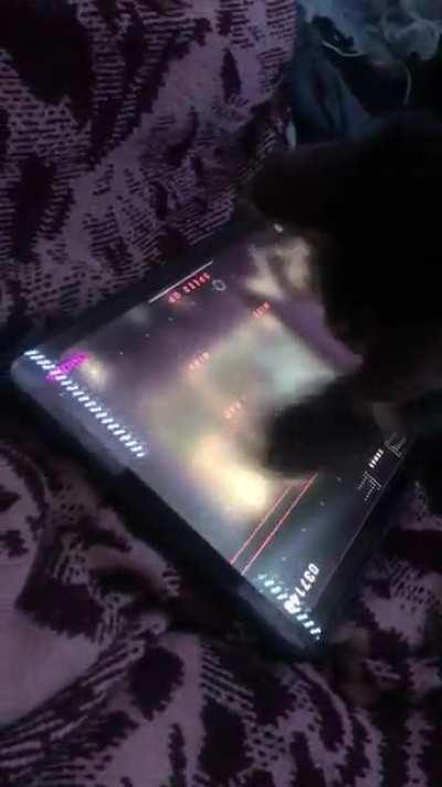 Follow up to my post from a month ago or so, here’s my cat playing Cytus he stopped tho i guess it was too hard 😭😭😭
