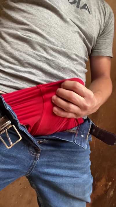 Scottish cock at work