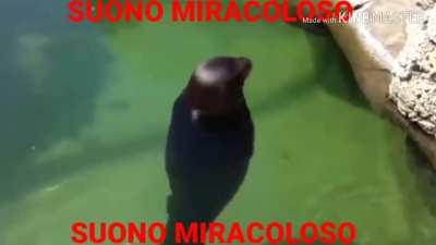 SUONO MIRACOLOSO 101