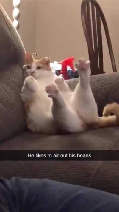Airing out the beans