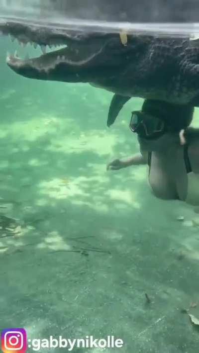 No amount of money can convince me to do this 🤯