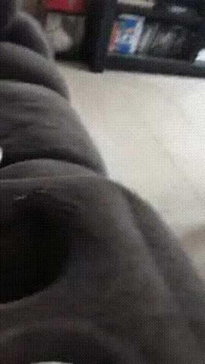 WCGW Just playing with the cat