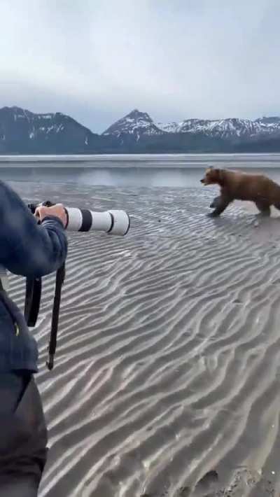 Cameraman scares off a charging bear