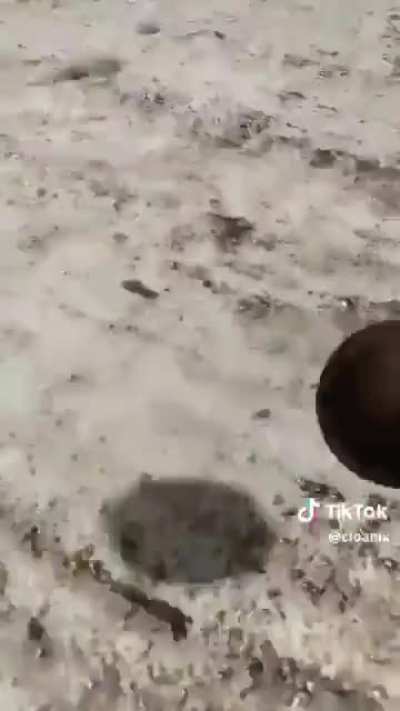 This is why fallout 4 is peak obsidian fallout