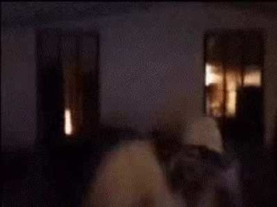 Caseoh desk slam loop gif