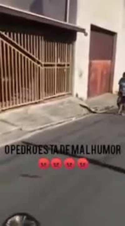 Pedro cansado dos memes com seu nome