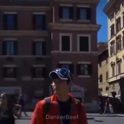 The cat's reaction to the drone