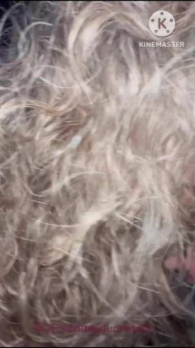 MILF minimizes thick cock