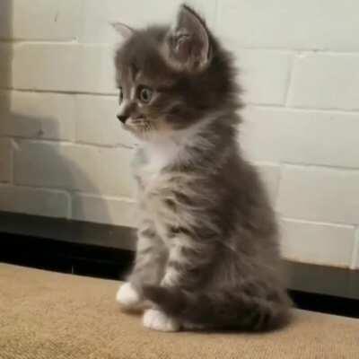 Look at the way he sitting