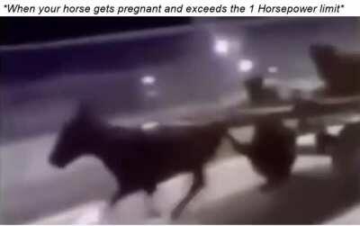 Perhaps I am really too much of a Genius