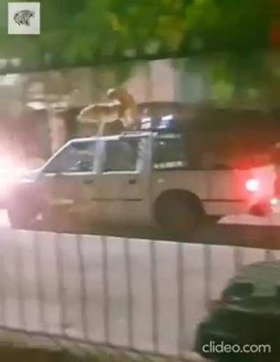 Adventures is the least i can say