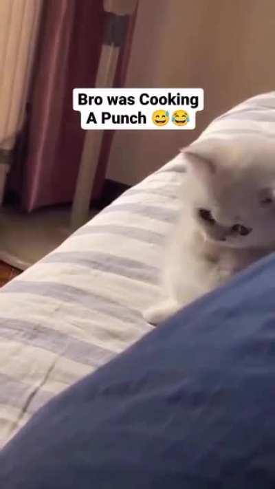 Criminal charges up the attack