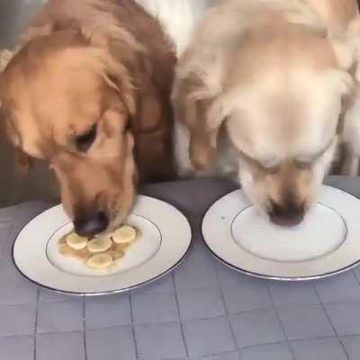 I'm sorry were you eating that? C'mon man she does this like every time...you gonna sort this out???