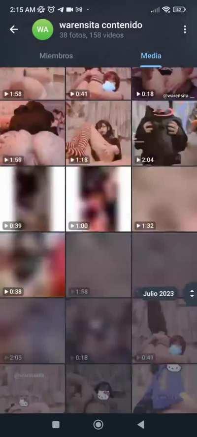 todo el contenido de la warensitaArsmate  
