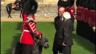Queen meets Irish President (Seen on tiktok)