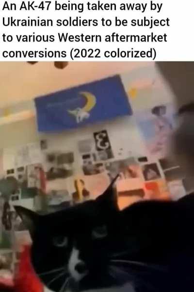 Not to mention their homegrown bullpup versions (I will not elaborate)