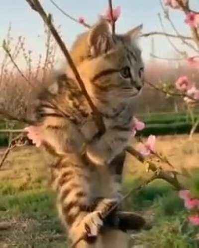 Hold the line in a spring day :-) . For Roar K.