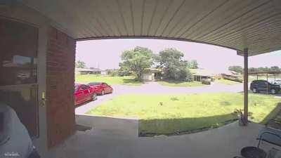 Man gets bit by snake while opening his front door