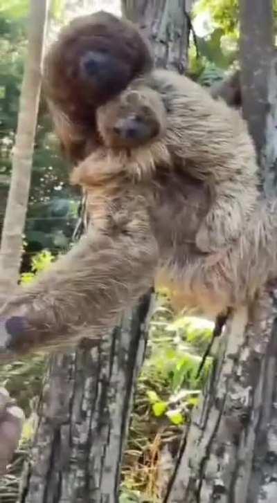 Mama slot say thanks.