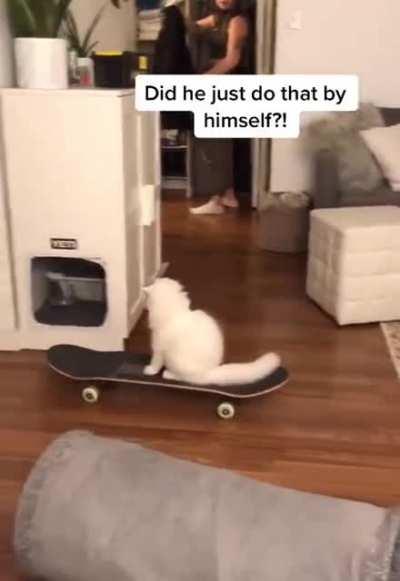 My skate boarding people need me