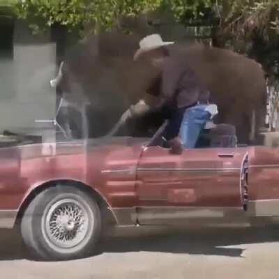 That is a big boy if I ever seen one