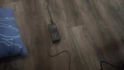 I shall protect you from the evil laptop cord.