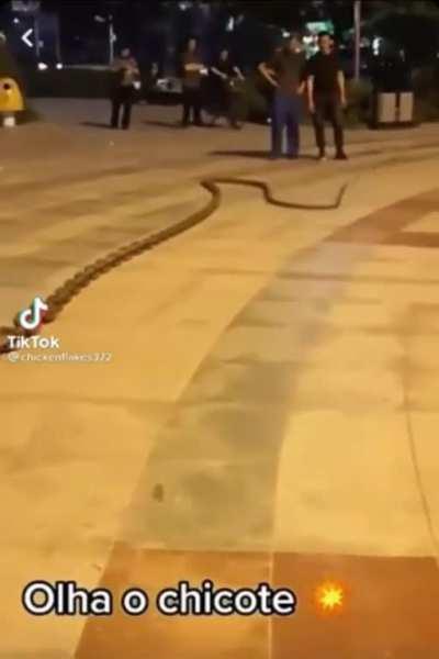 You aint gotta tell me twice