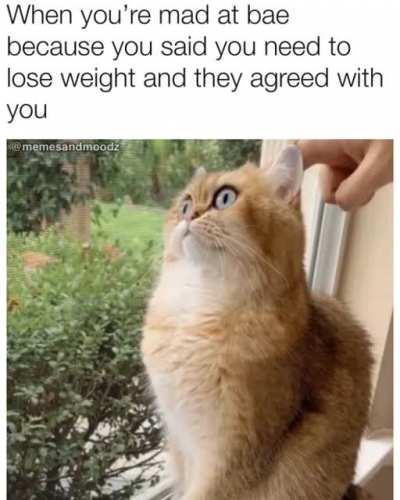 The level of disrespect..