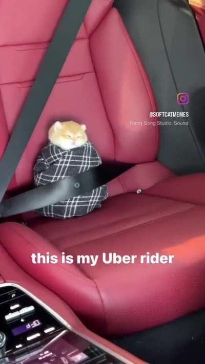 Wunk is going to falsely claim the driver was incredibly rude for a refund.