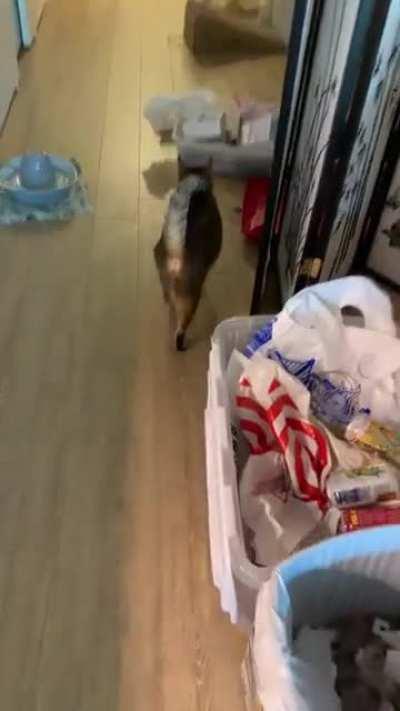 She doesn’t wanna hear me sing