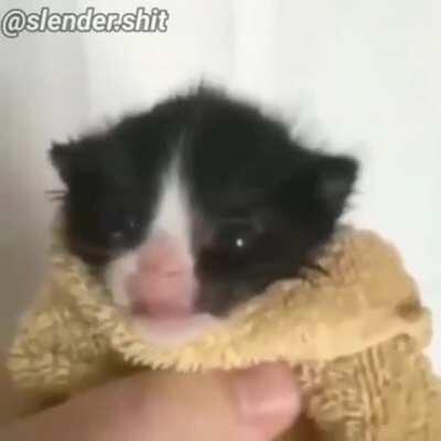 DitxizsenpaiUwU - Video #9652