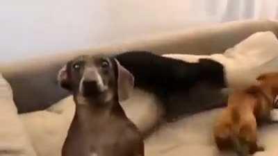 Who cares about the fight, I wanna show up