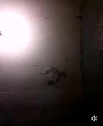 Elvis impersonator busted for domestic abuse while live streaming