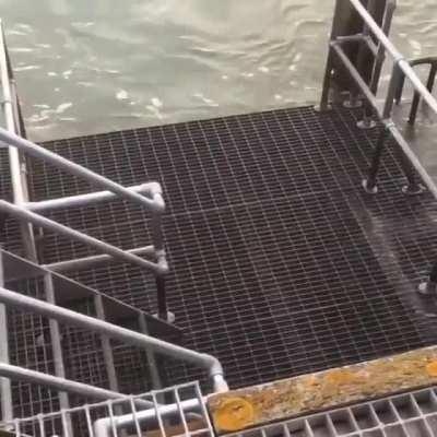 Water moving through deck