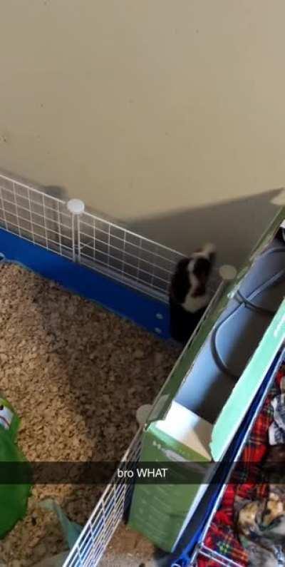 Well is this fantastic