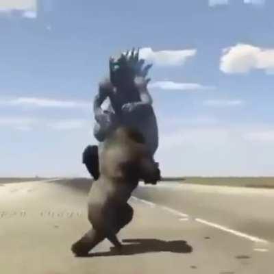 King Kong vs Godzilla(new)
