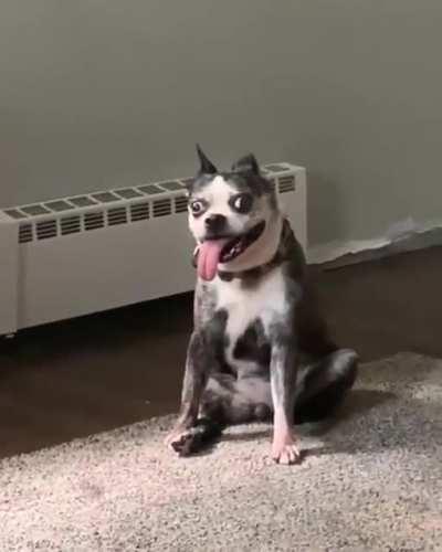 Whatever it is, must be hella' exciting