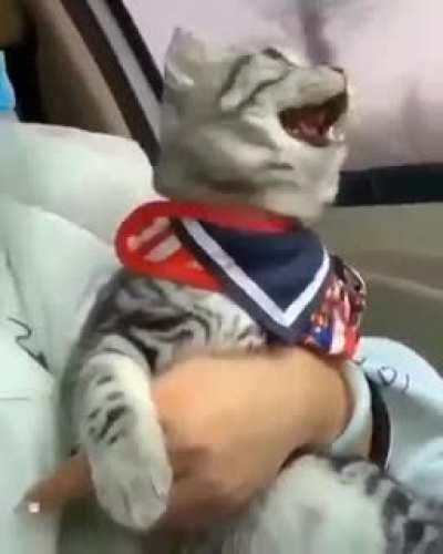 Le me after pandemic ends