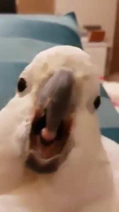 Aaaaaaaaaaaaa