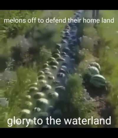 Glory to Melonhelm the Second