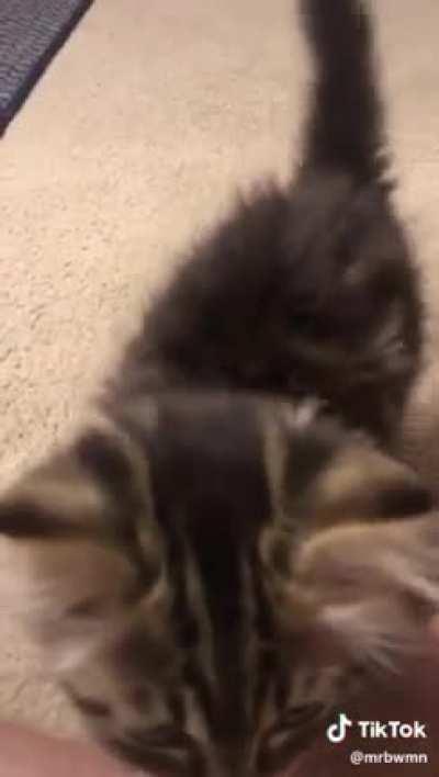 It was worth waiting until the end.