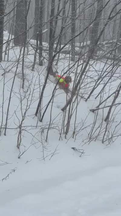 Once she has a stick in her sights, there’s no going back