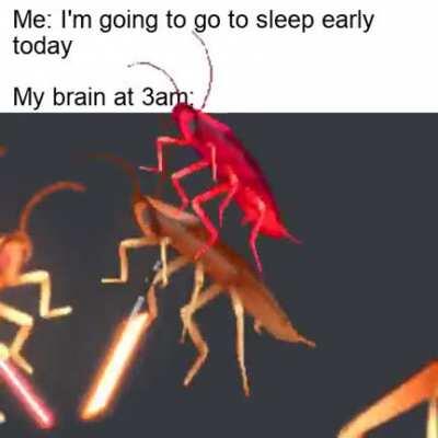 No, this is not a fever dream.