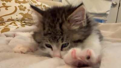 It’s all about finding the perfect spot