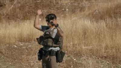 Mojo's just here for the violence.