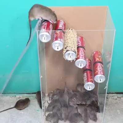 Fren catcher :33333333